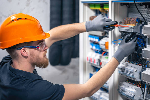Best Electric Panel Repair  in South Valley, NM